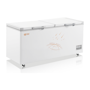 Tủ đông 1 chế độ đáy phẳng BD/BC-758